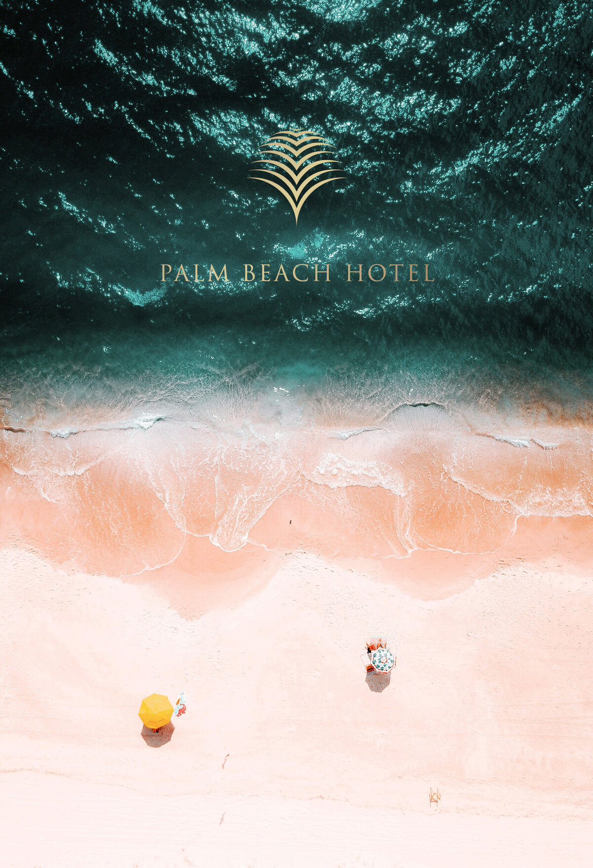 PBH custom deigned primary logo featuring palm leaf overlaid on shore image of Palm Beach.