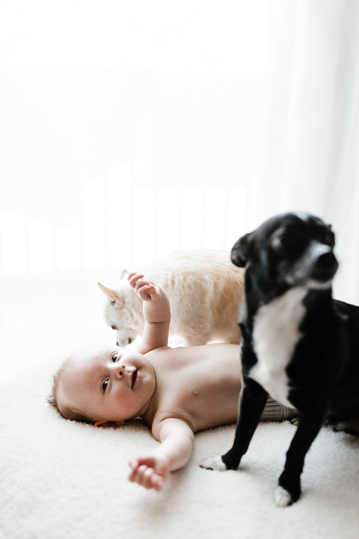 DVP - TNewborn-77