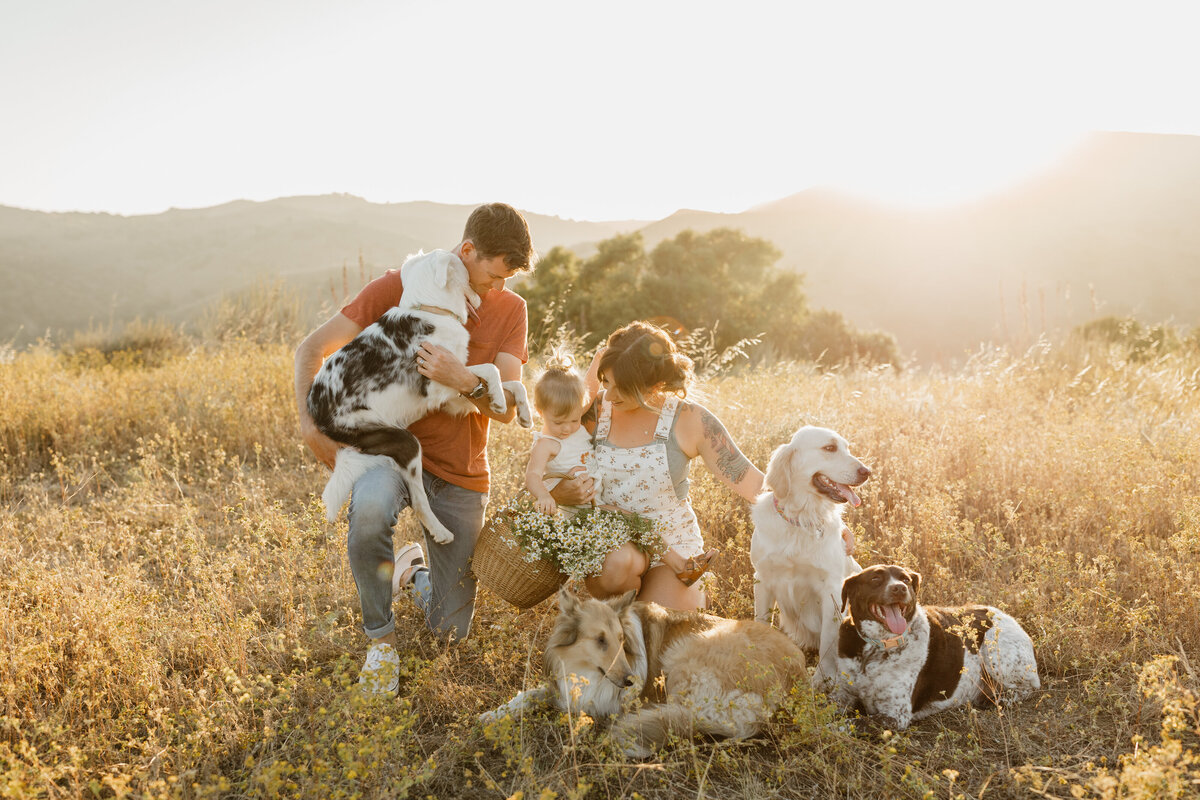 A family with their pets in the hills