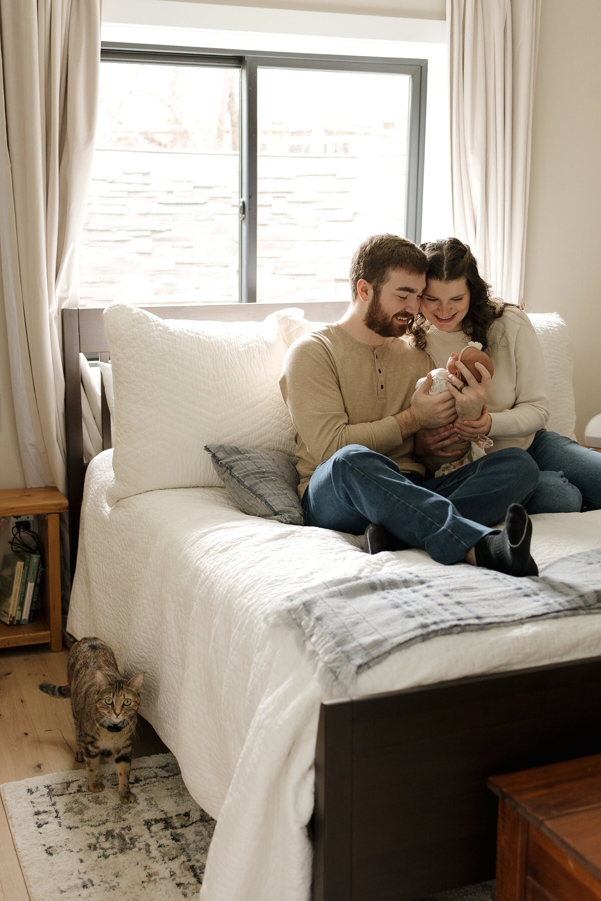 Longmont newborn family sitting on bed looking at newborn while the cat walks by the side of the bed on the floor