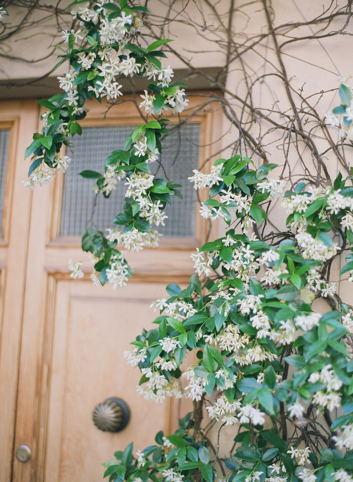 Tuscany-prewedding-villa-cora-24