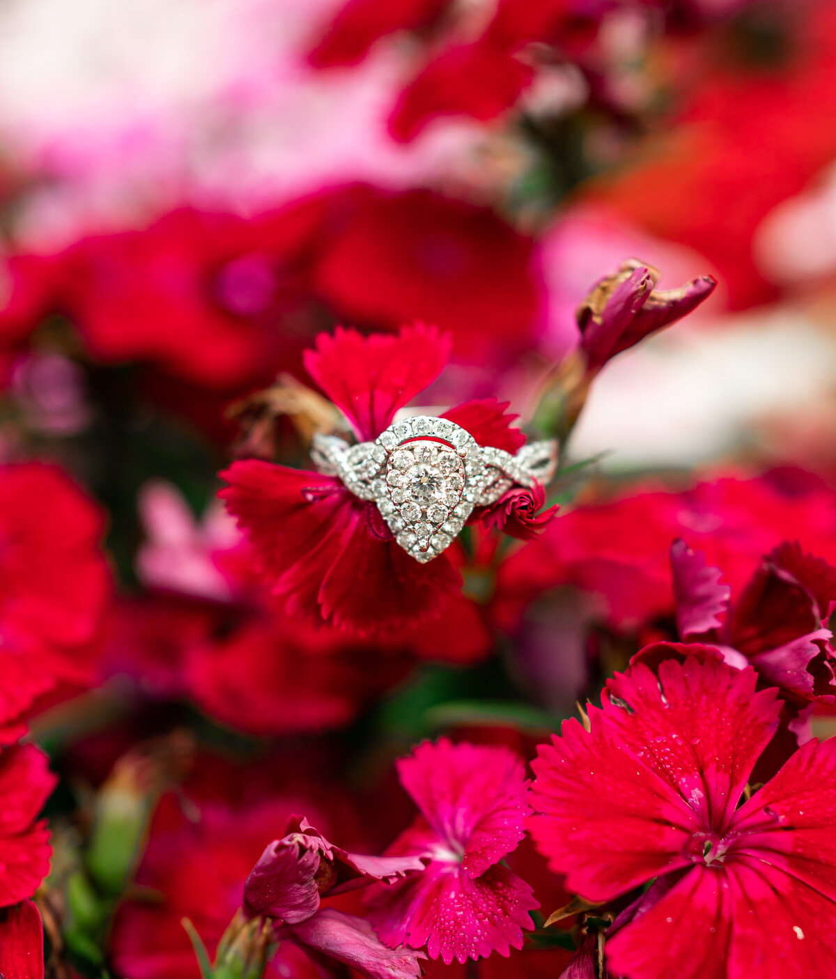 Engagement Ring | Engagement photographer in atlanta, Forever Photography