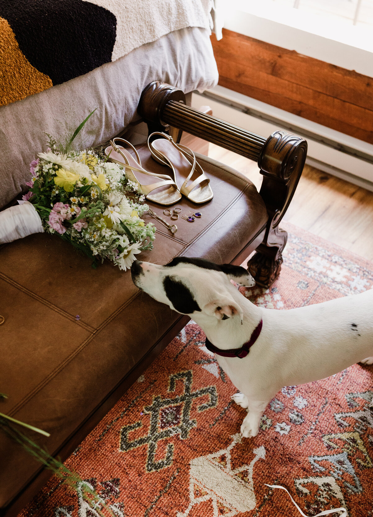 Black and white dog sniffing the florals at Dallenbach Ranch Colorado Wedding