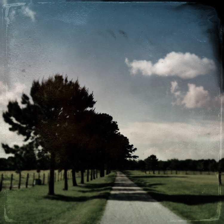 Texas Photography (5 of 69)