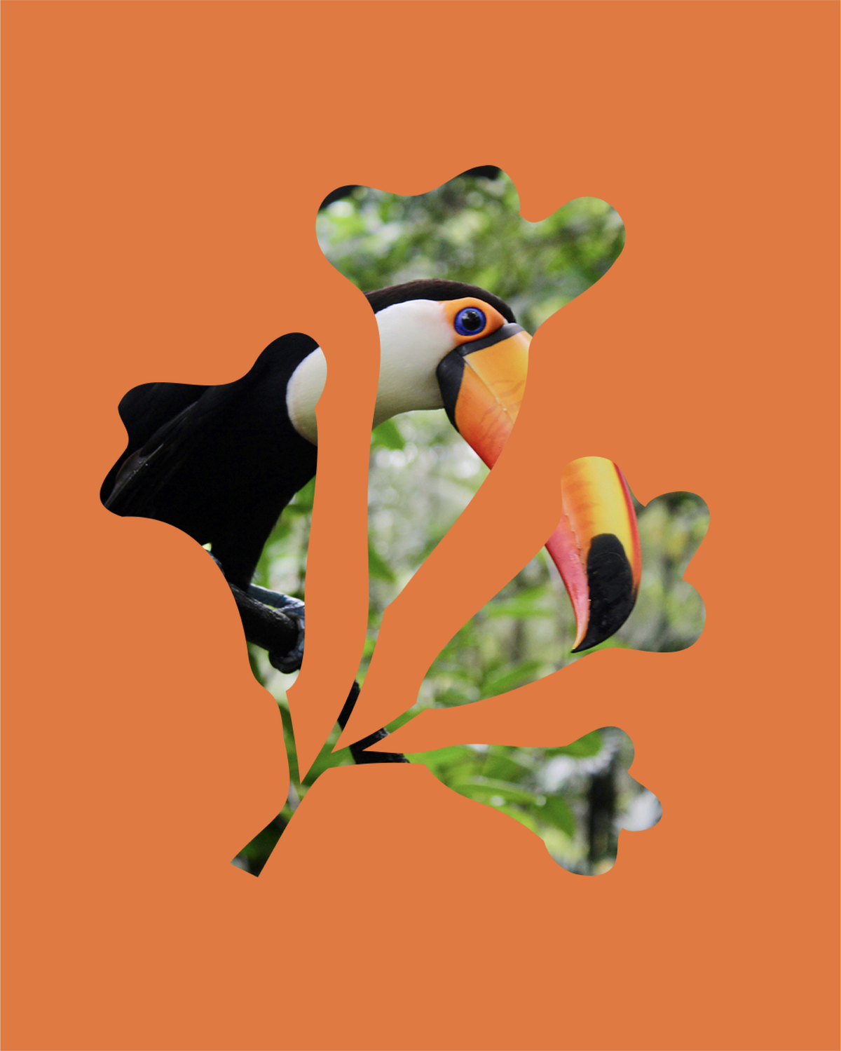 Portfolio-31