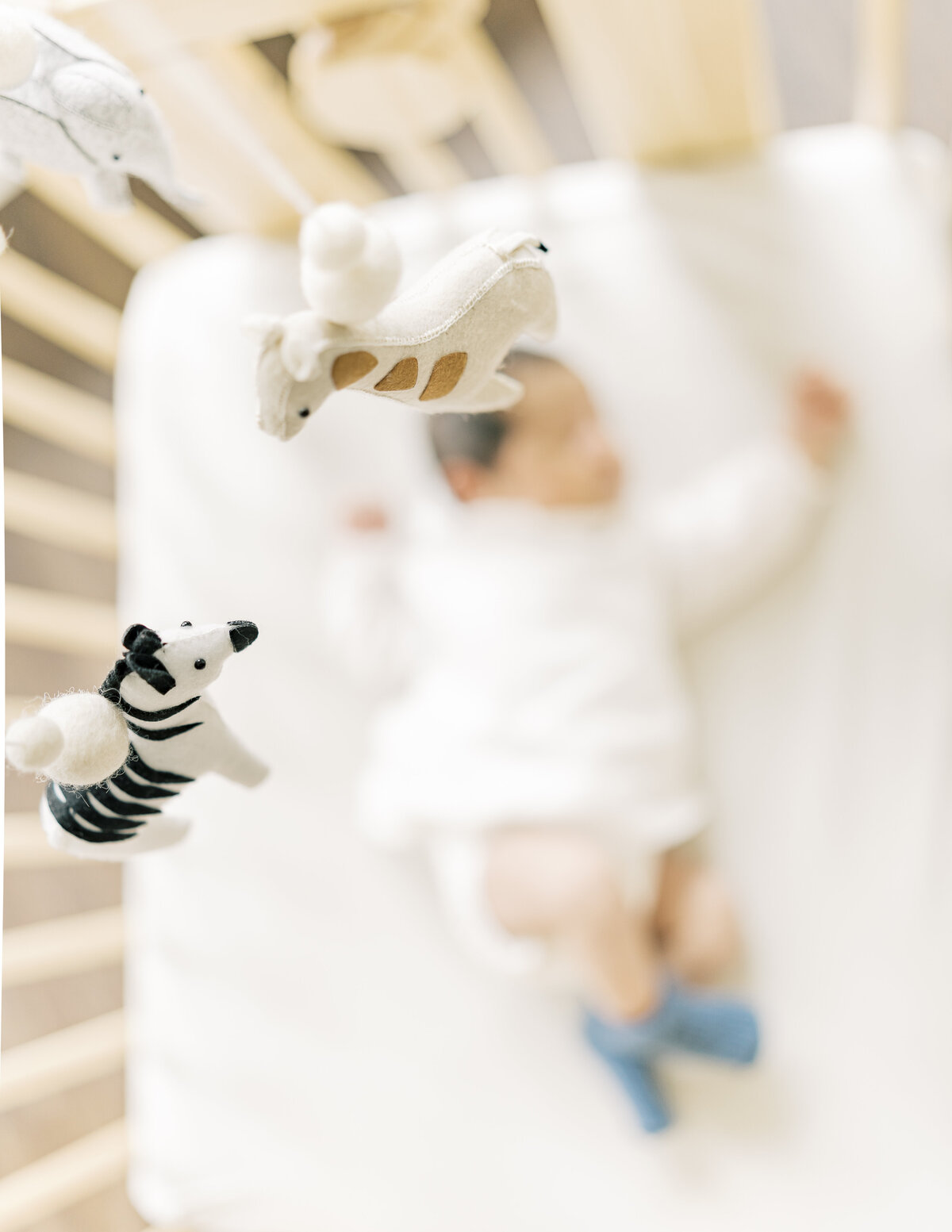 dallas_family_photographer_37