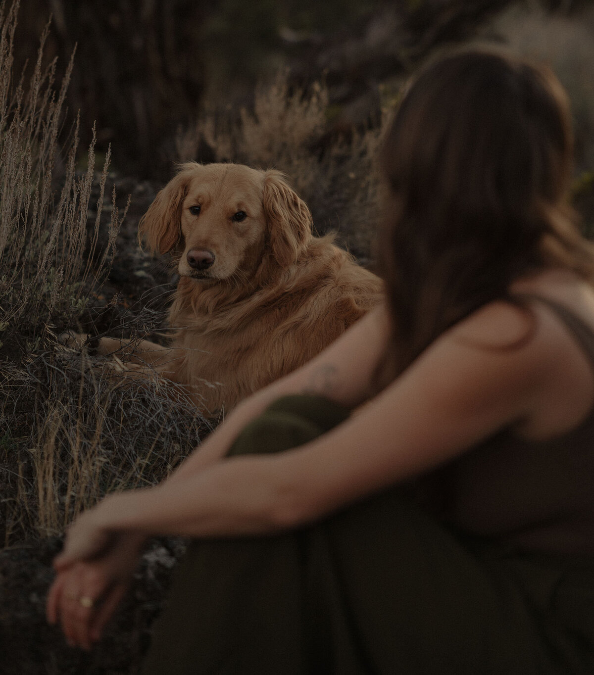 golden retriever and owner exchange eye contact during a soul pet photoshoot in the high desert