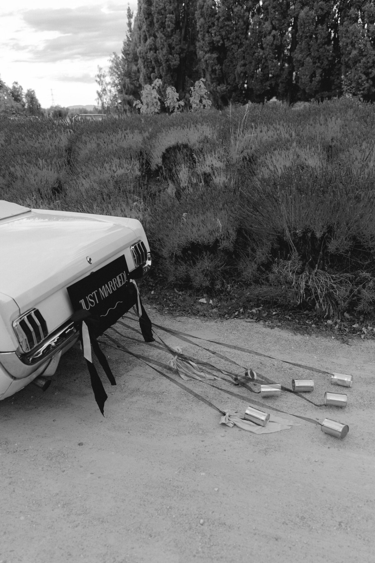 D&K—ToWed-969