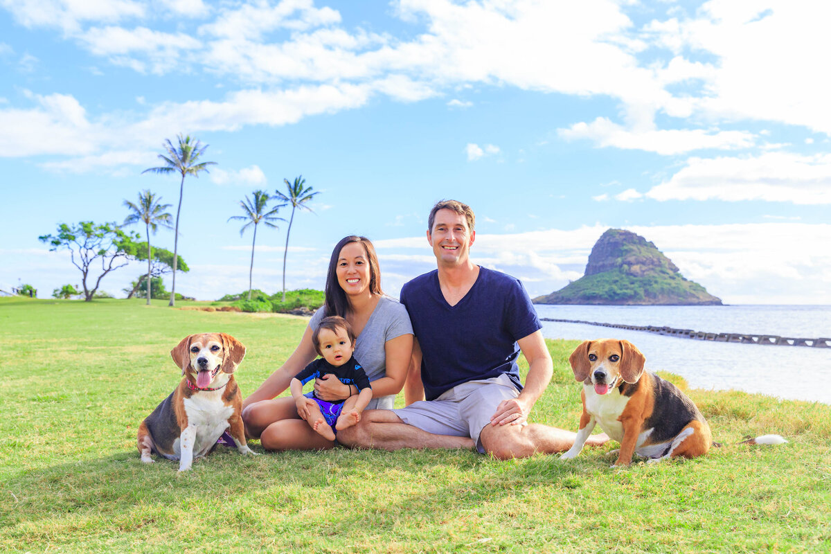 Keri-Nakahashi-Photography-Hawaii-Pet-Photographer-7