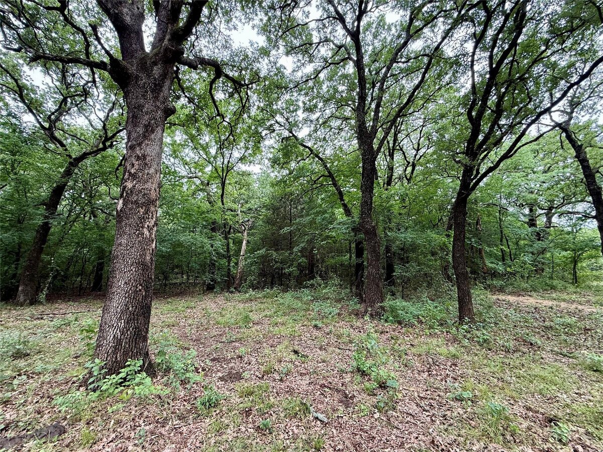 Aerial view of 16 acres with mature trees and pond in Collinsville, TX