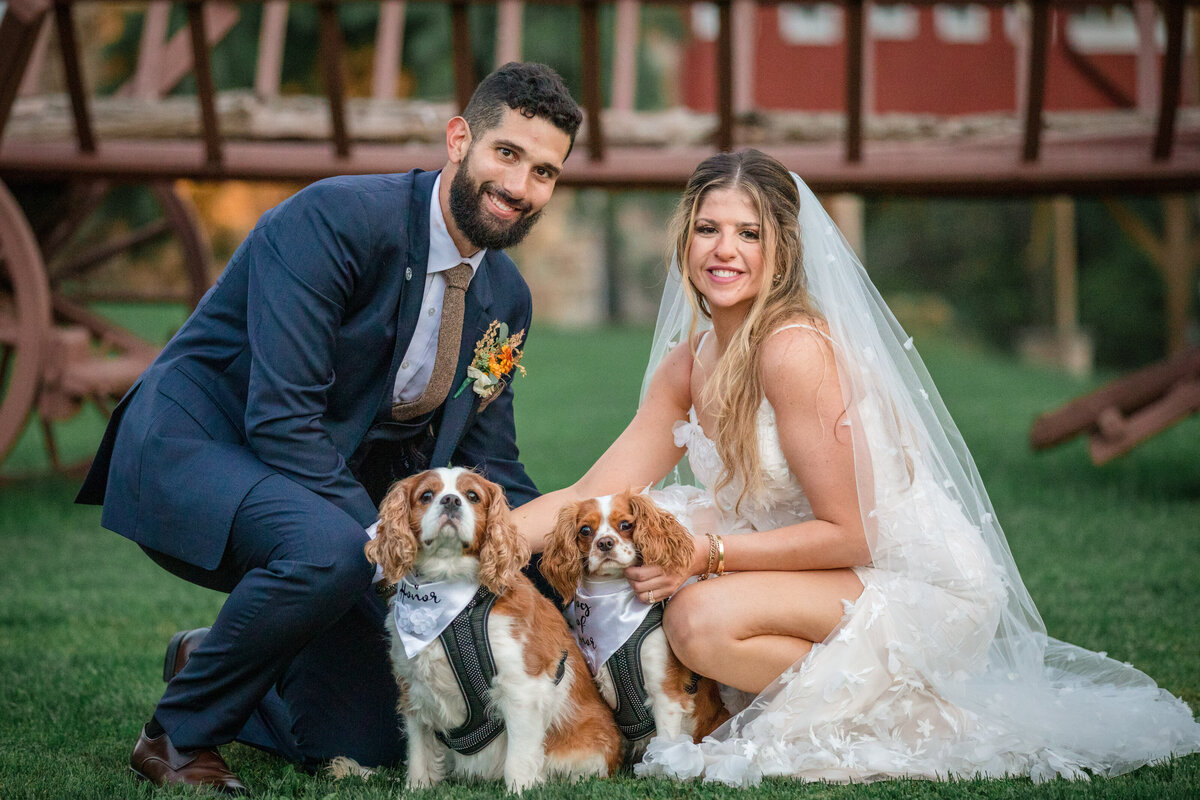 Bally Spring Wedding Photographer 022