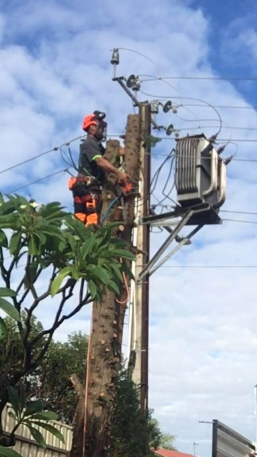 Evergreen Tree Services SA-Safe Work-Working Near Powerlines-001