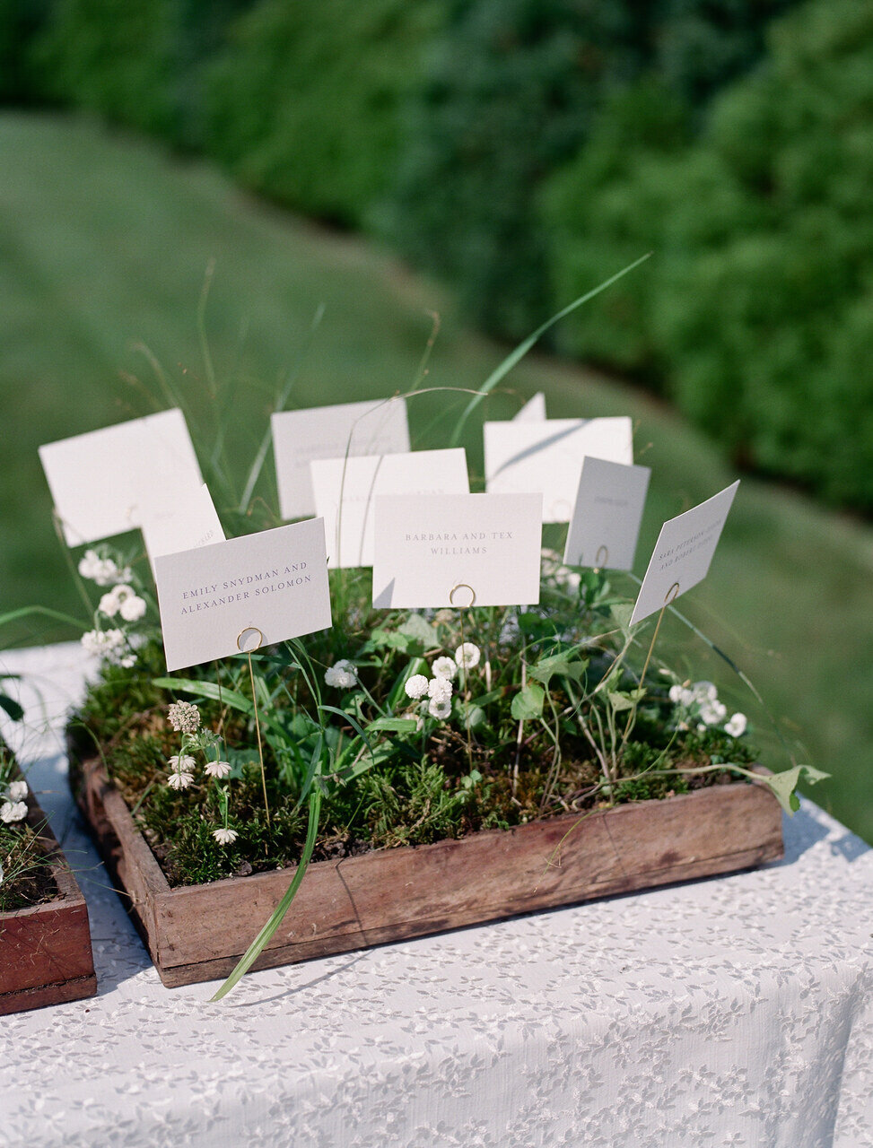 leila-brewster-photography-2014