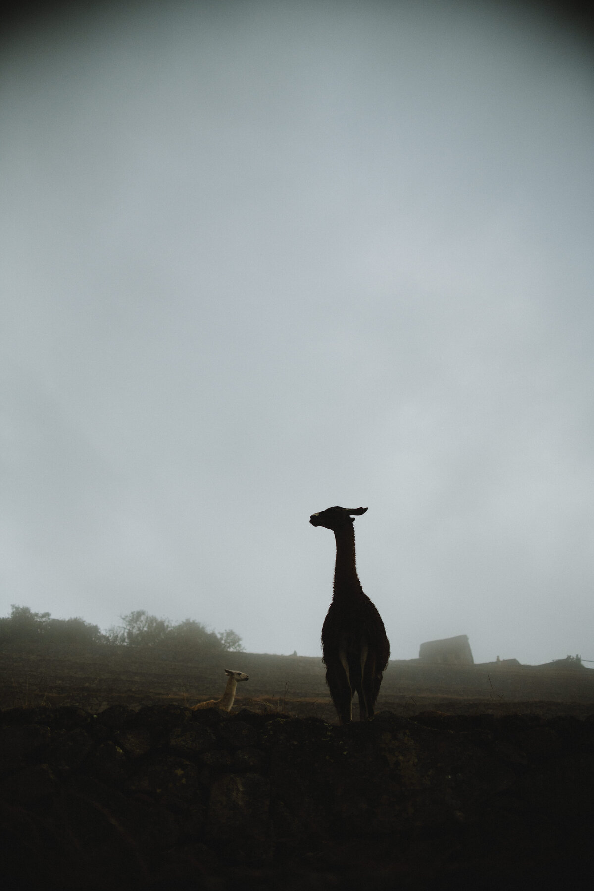 220807_Peru_15