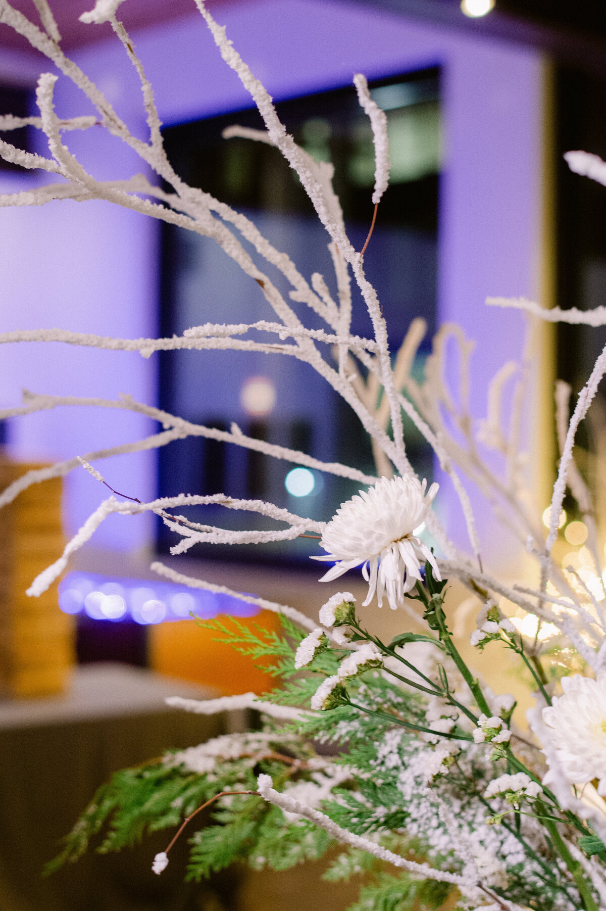 064-JOY_2891-michaela-joy-photography-corporate-holiday