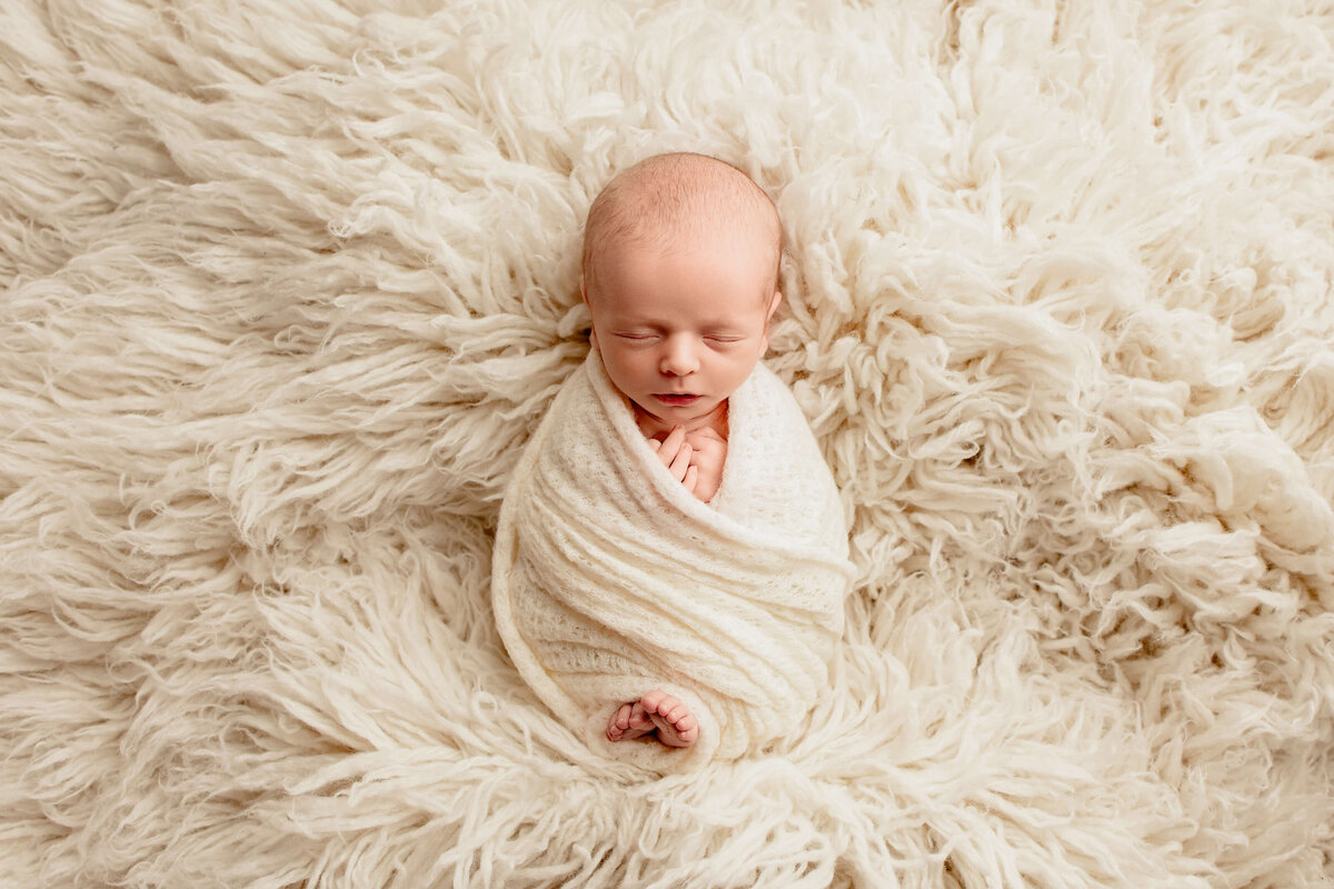 Milwaukee-Newborn-Photographer-8