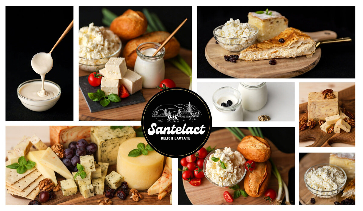 brand design for dairy company2