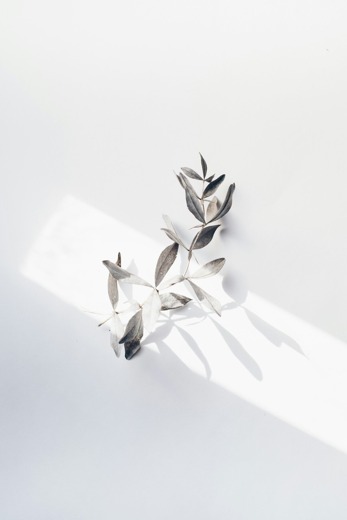 evie-s-uuCjYxJVf4o-unsplash