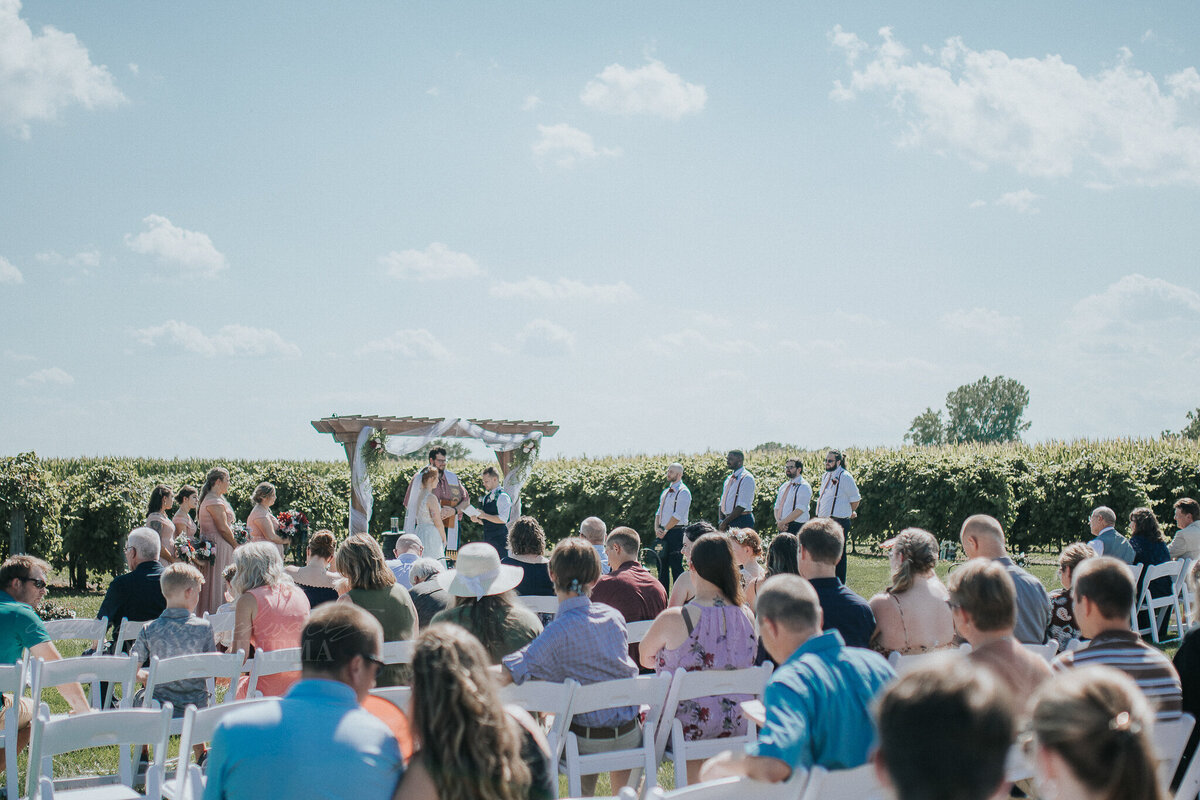 ceremony _ alaynna ann schwartz _ harpors vinyard _ iowa photographer _ playlife photography_0140