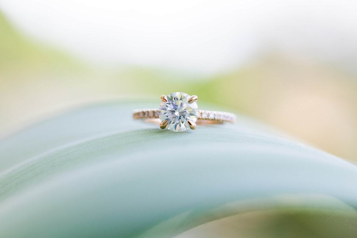 EricaMendenhallPhotography_RanchoMirageProposal_10