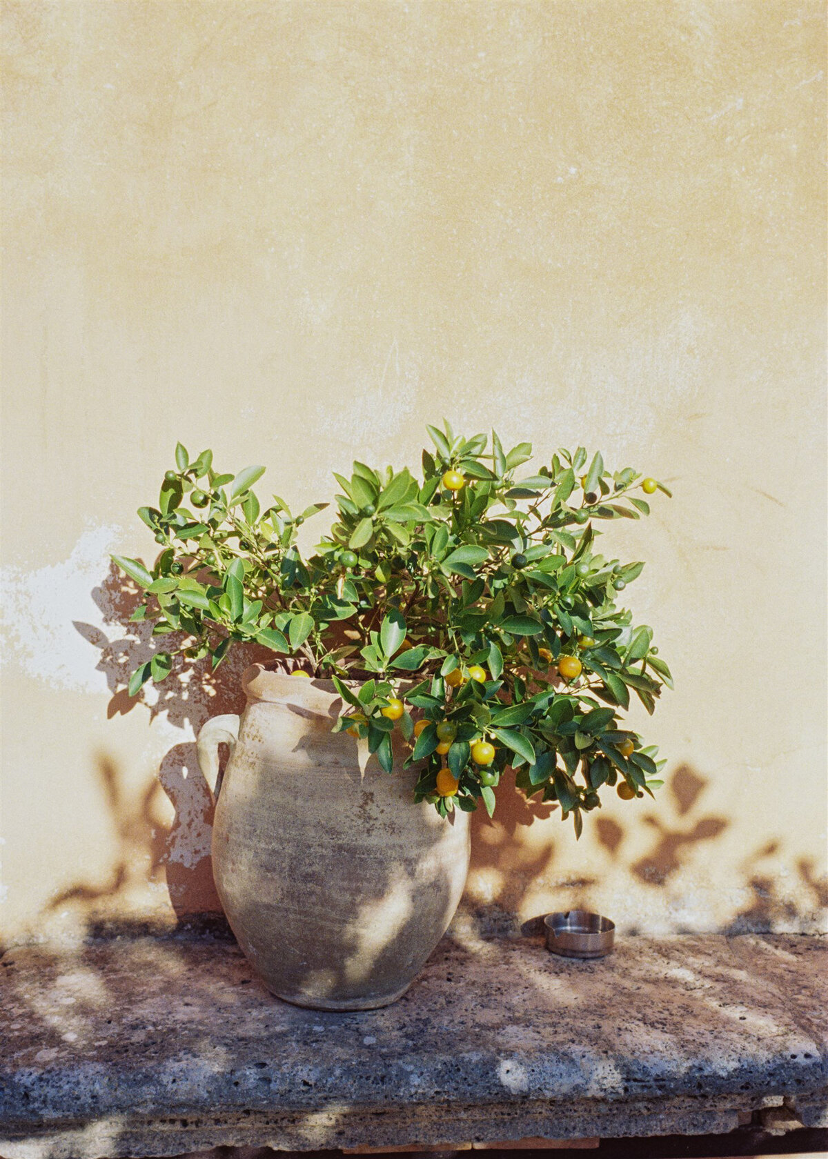 Tuscany Wedding Jamie and Brandon Lauren Fair_Websize_014