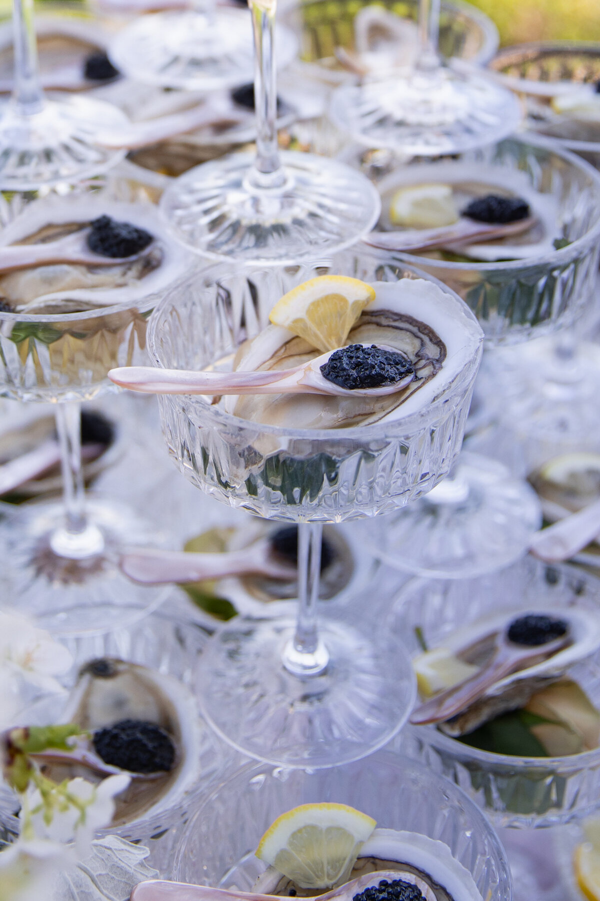 Aldrich Mansion Wedding Photos | Kelsey Sheehan Photography Timeless Rhode Island Weddings | Crystal goblets hold fresh oysters topped with black caviar and lemon slices. The elegant arrangement suggests a luxurious dining experience.