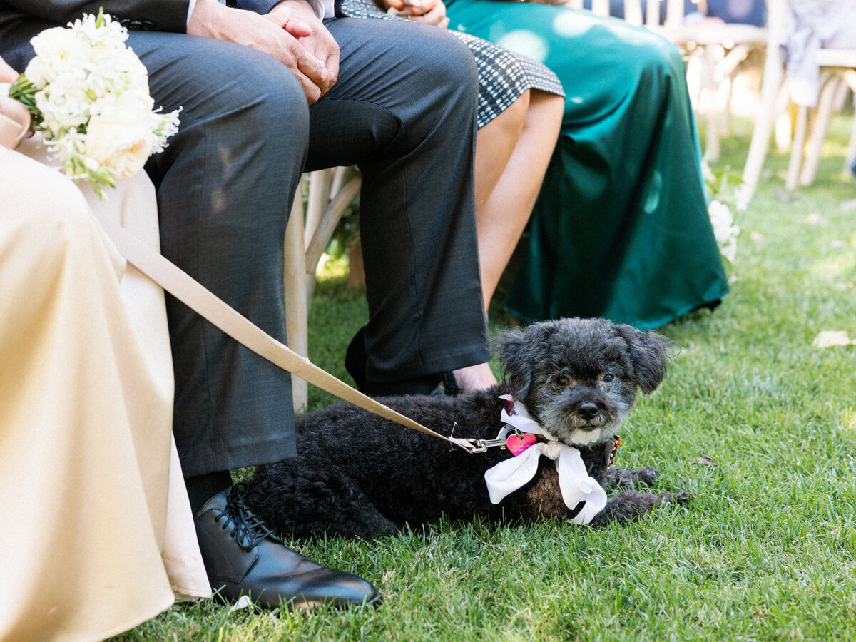 Greengate_Ranch_and_Vineyard_Wedding_034