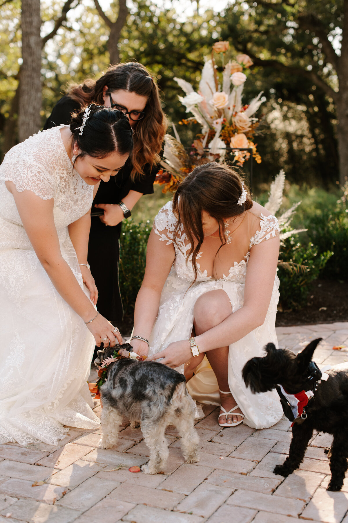 dog-rong-bearers-at-wedding