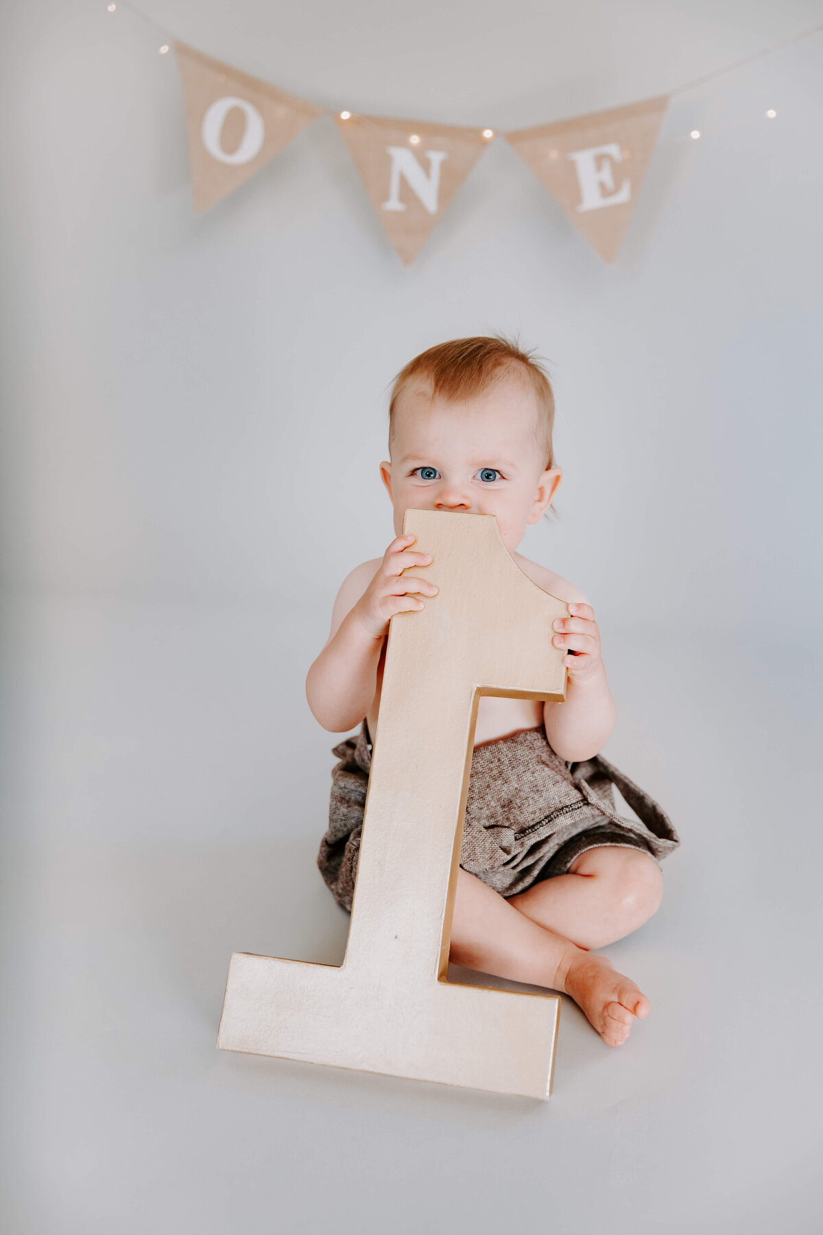 Baby-Milestone-Photographer-Woodbury-Minnesota-Sigrid-Dabelstein-Photography-William-43