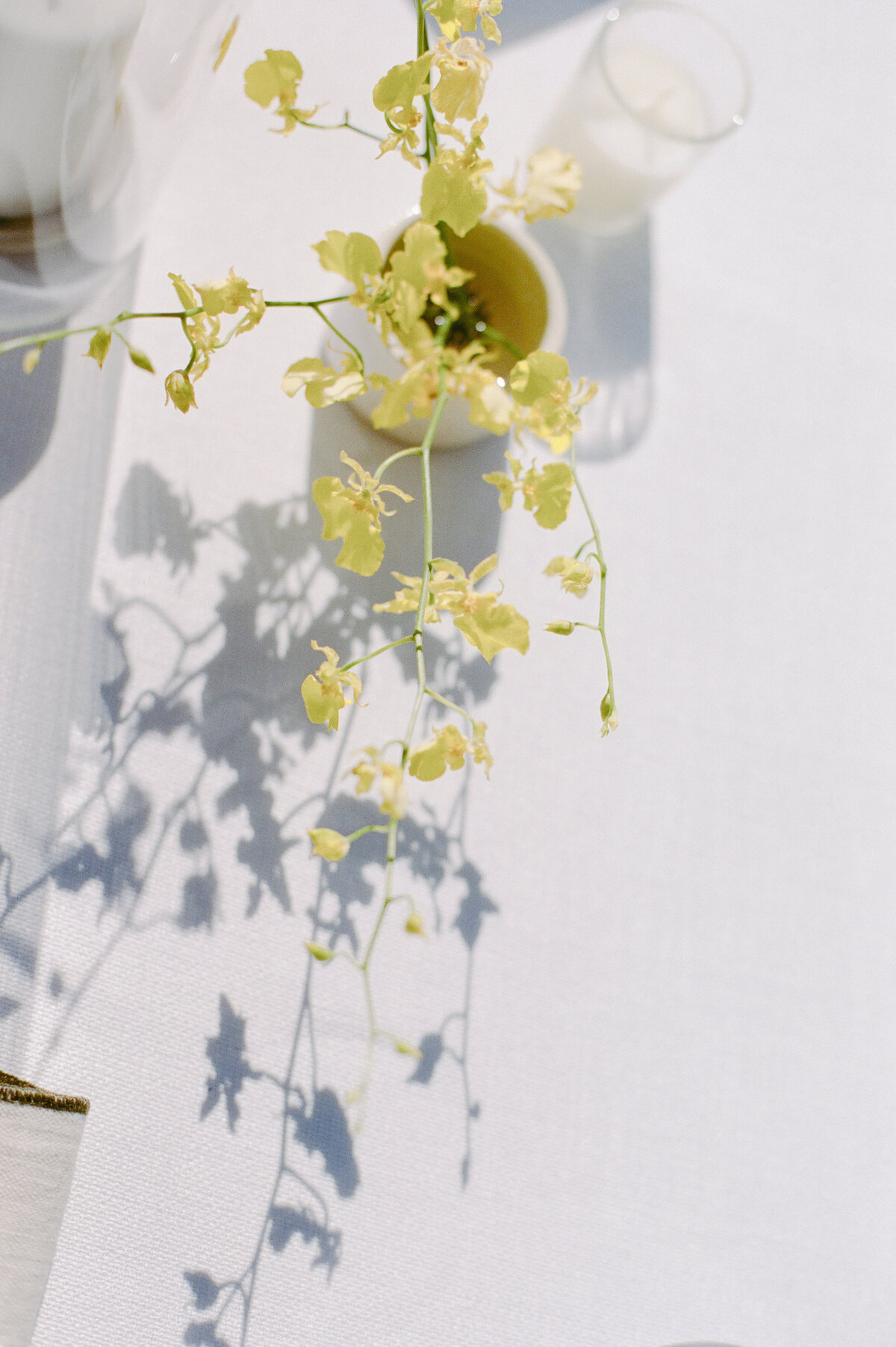 furioso-vineyard-wedding-f-104