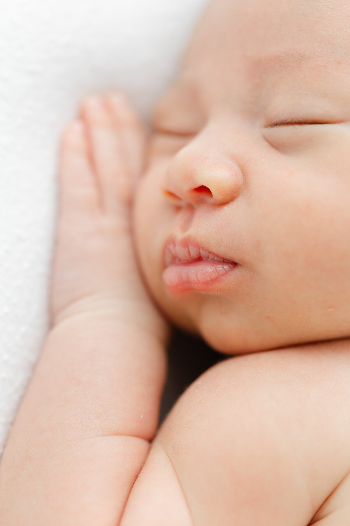 Philadelphia newborn portraits - 11