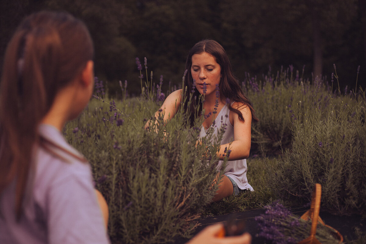 Iowa Lavender_F20A4915