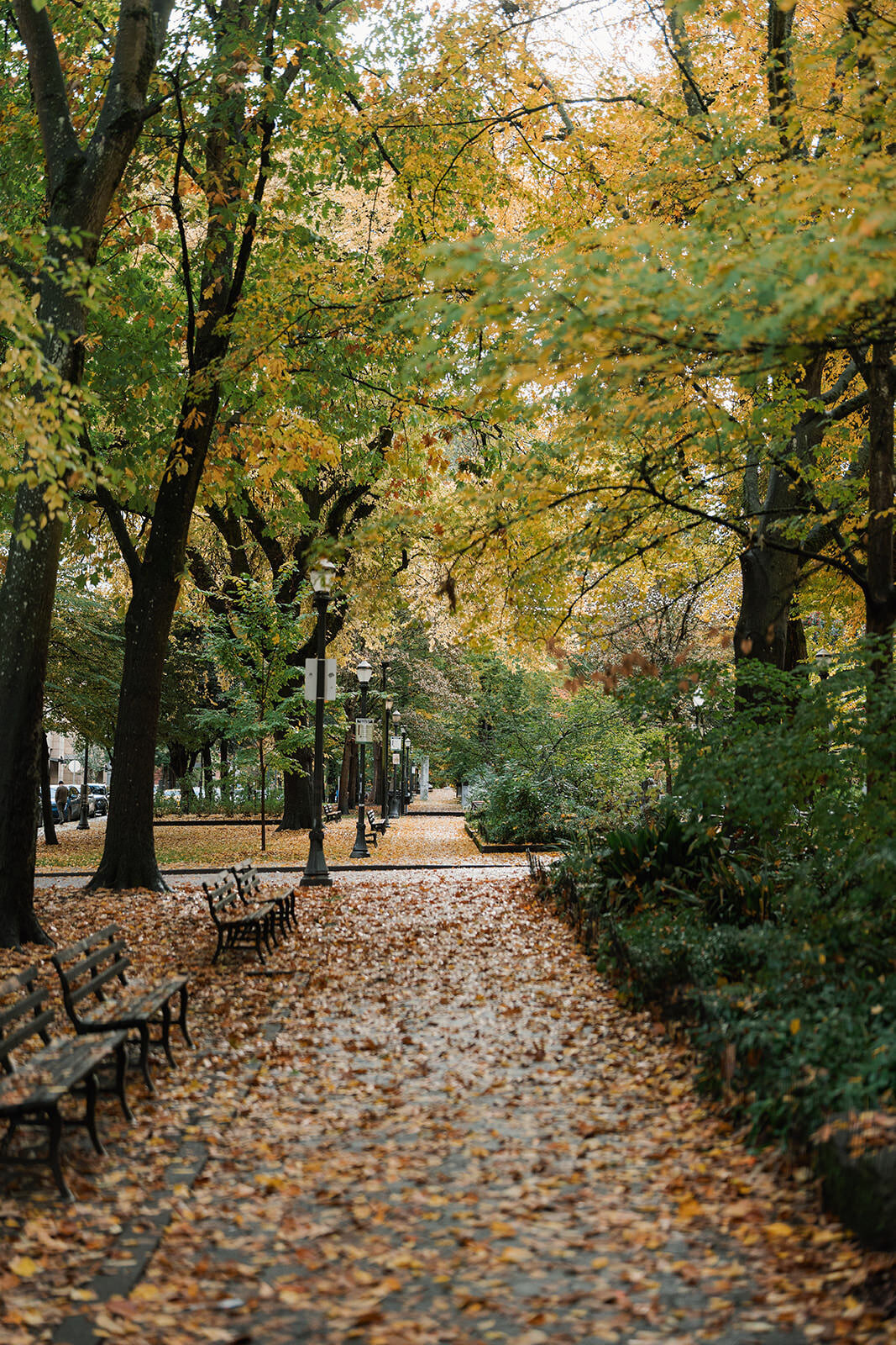 Lea-and-Cole-Portland-Oregon-Wedding-5