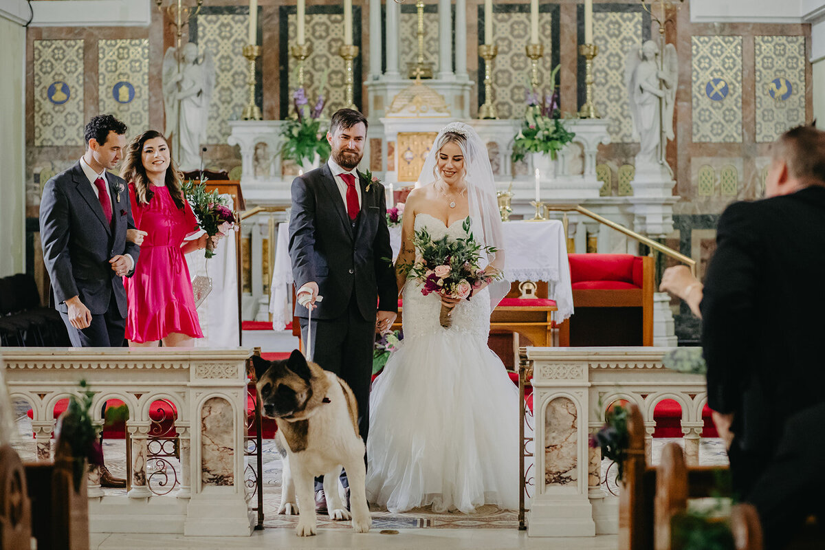 Wedd (227 of 297)