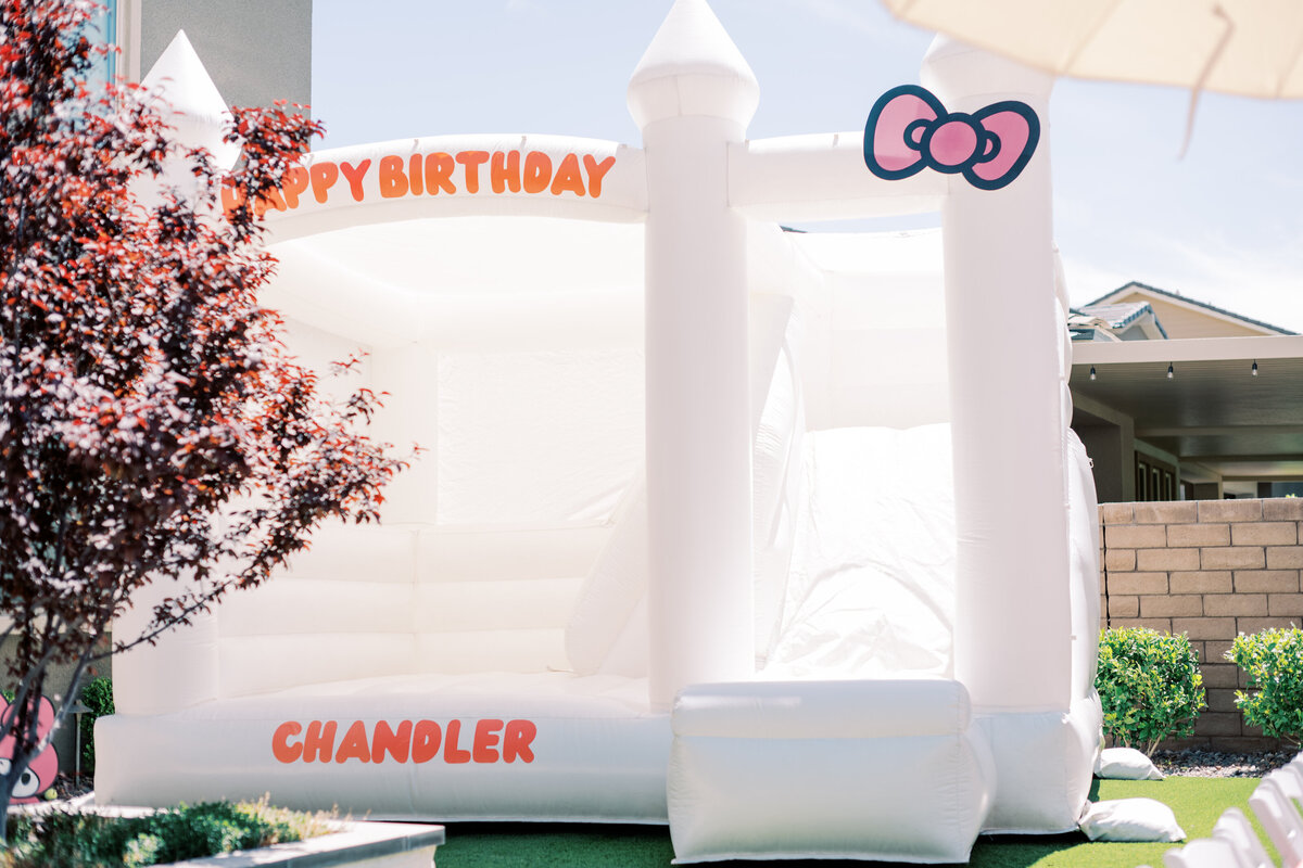 bribdayparty-23