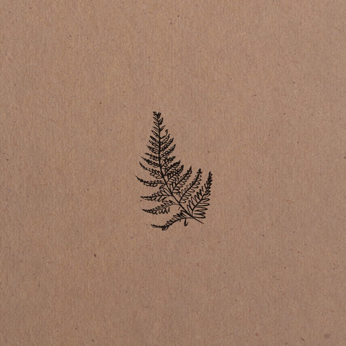 Rose-and-Palm-Studio_Portfolio_Woodhollow-Studio_Graphic-31