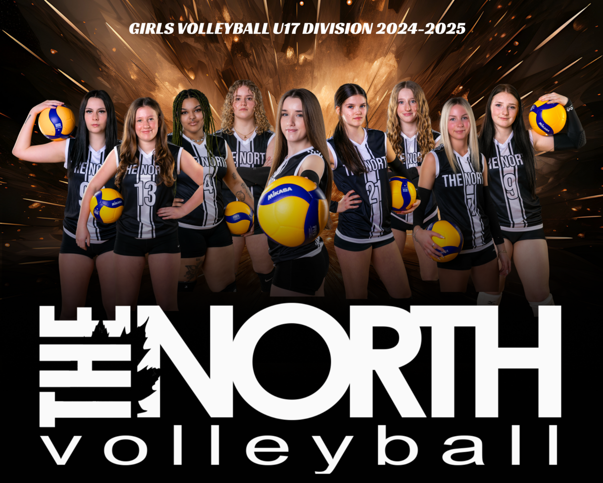 Volleyball Team Composite for Banners