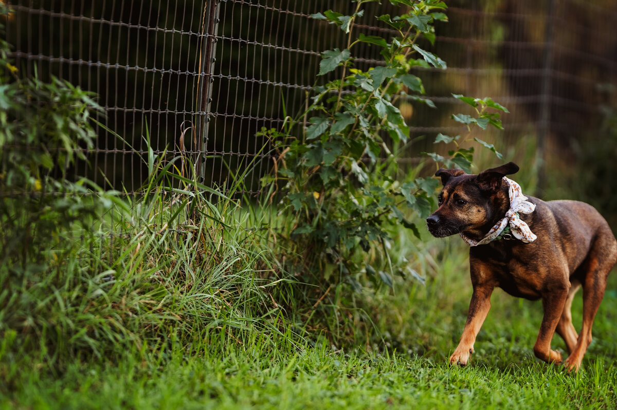 NicoleS_Fall2025_078