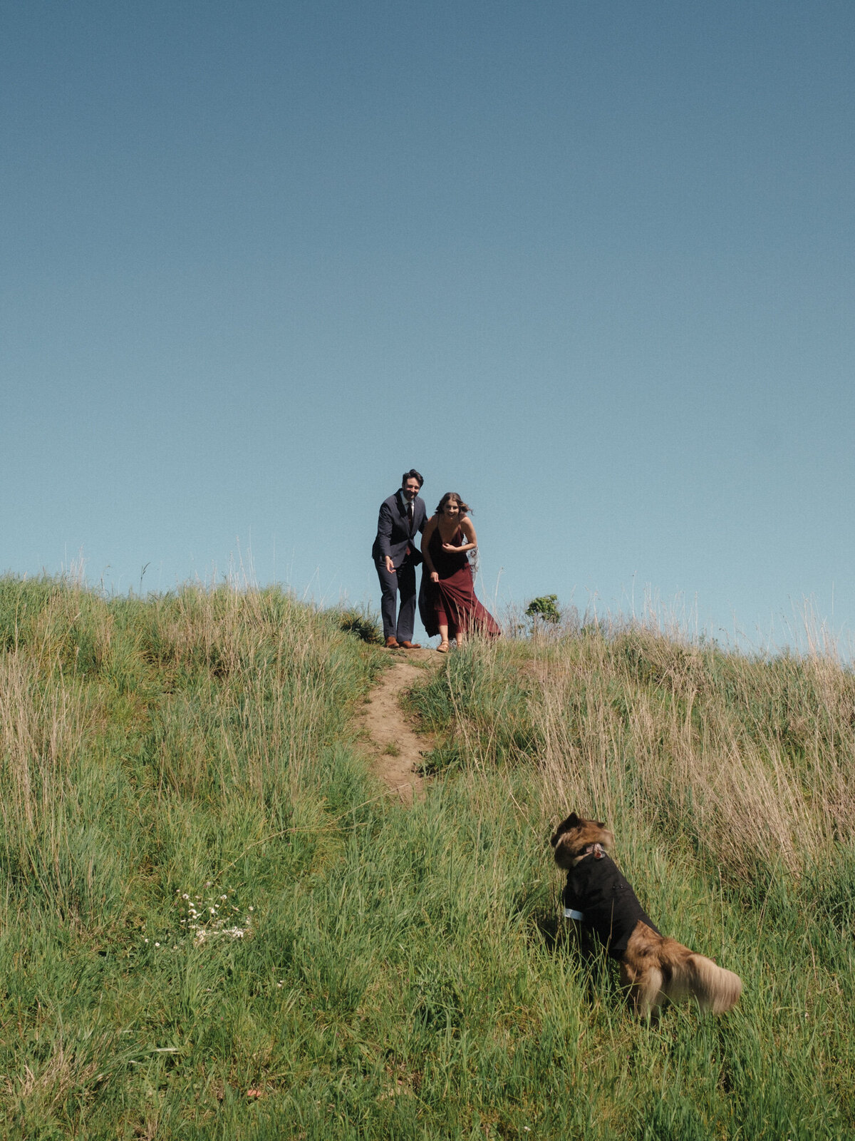 Dog running to bride and groom 