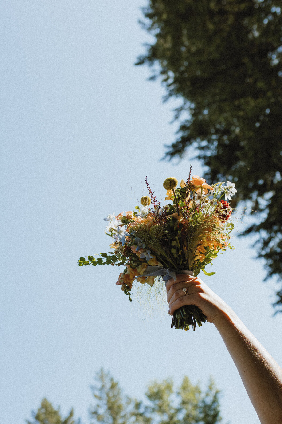 alberta-wedding-photographers-sam-hornquist-photography-113