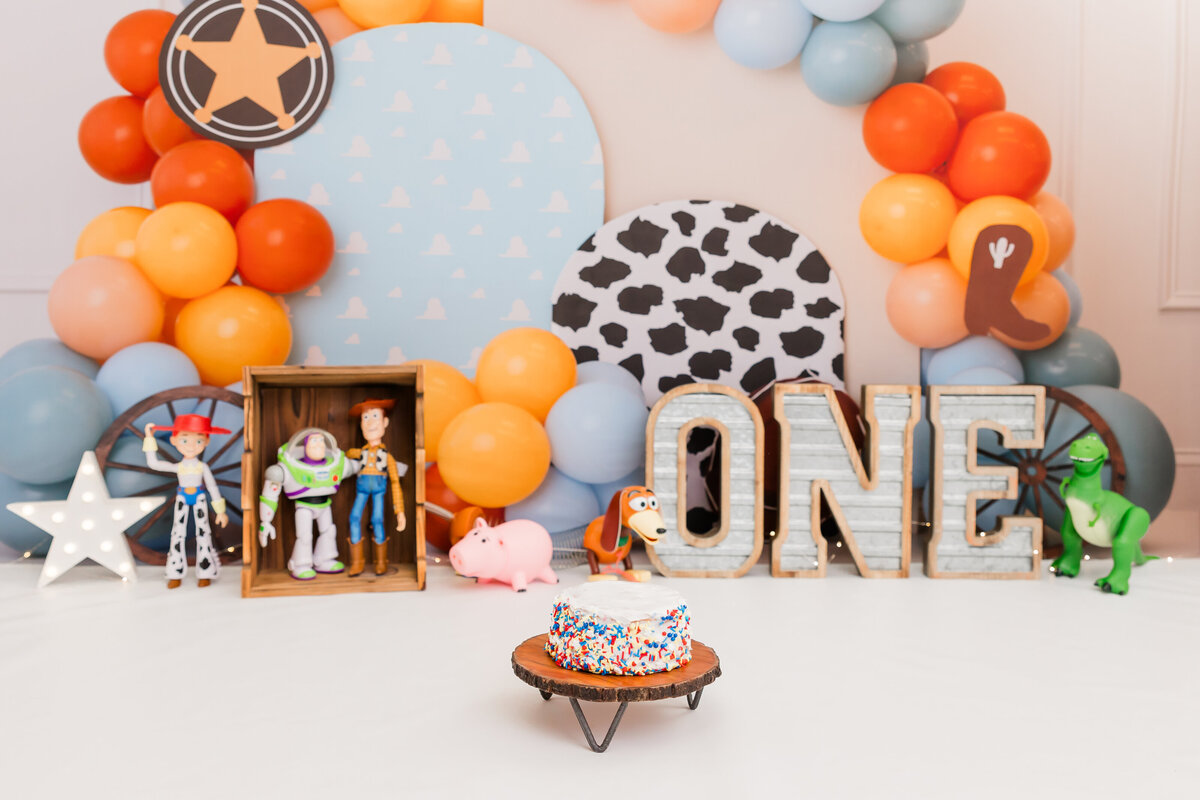 Dawn Bair First Birthday Photoshoot-1