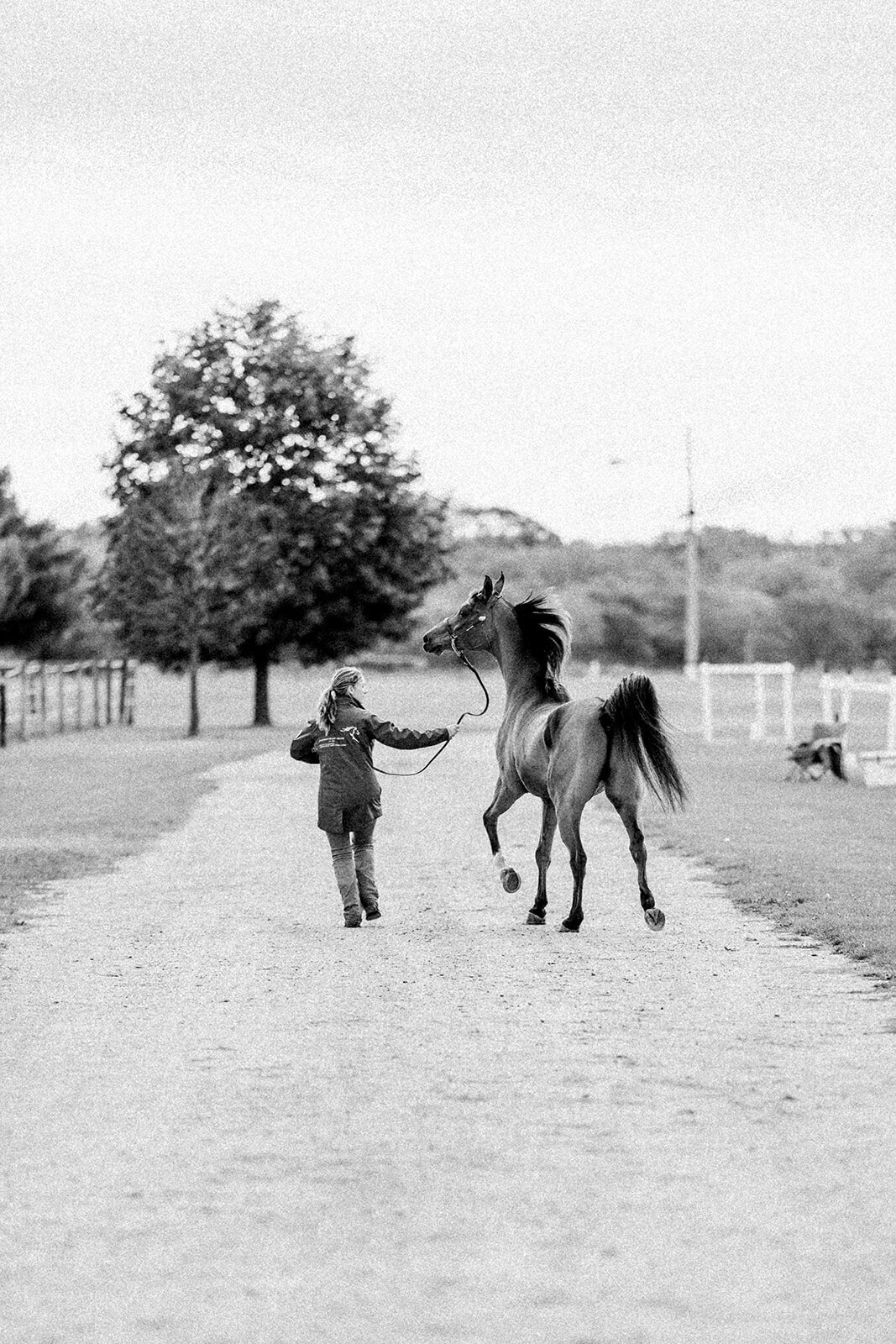 Equestrian Photography273