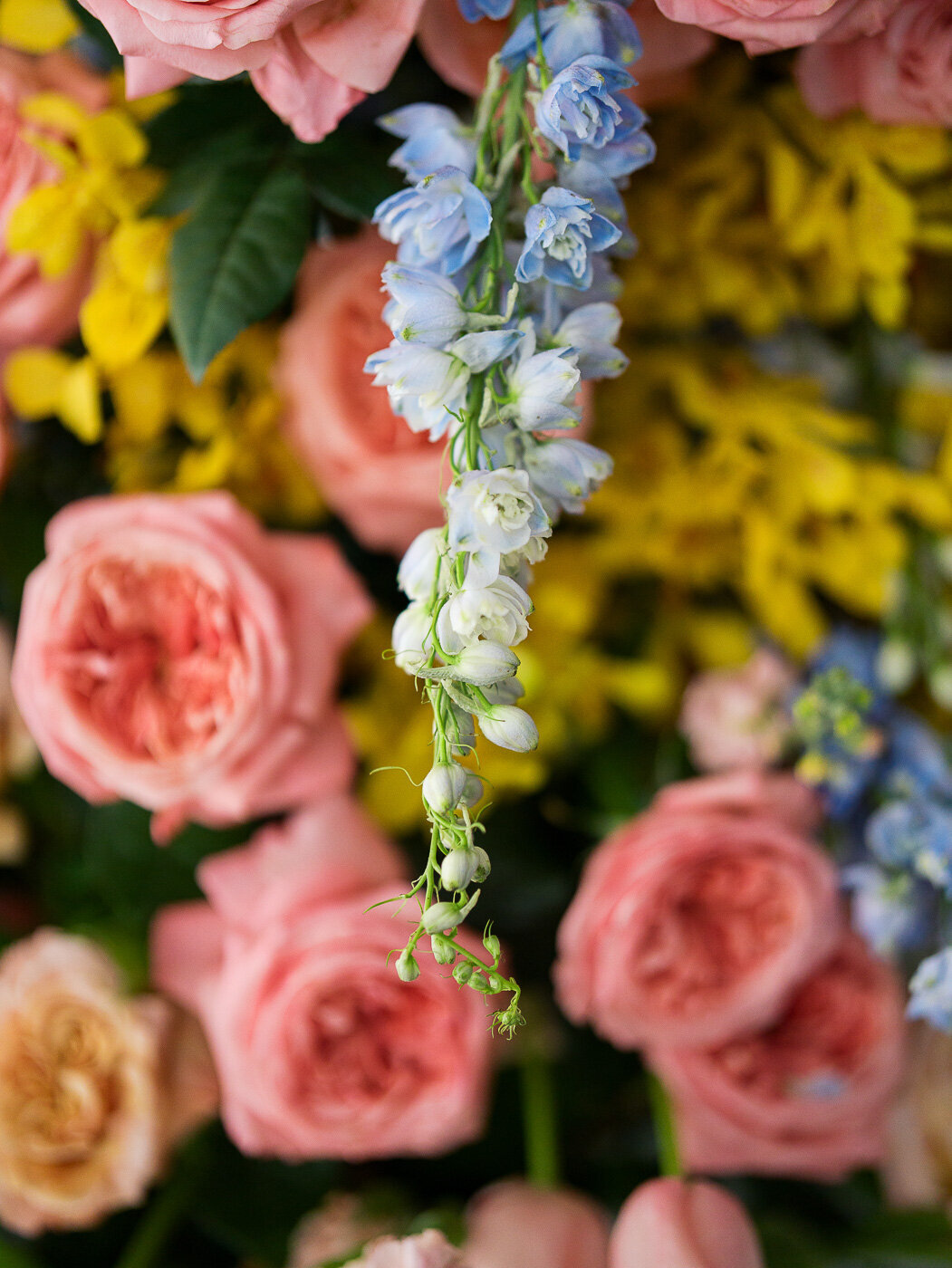 University Club of Memphis Wedding Photos-51