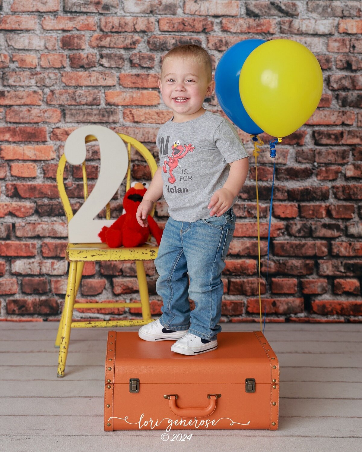 lehigh-valley-photographer-lori-generose-lg-photography-second-birthday-milestone-boy-palmerton-pa