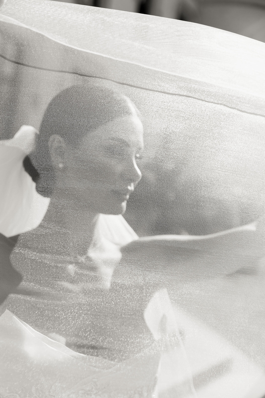 Wim Vanhengel-1-214_websize