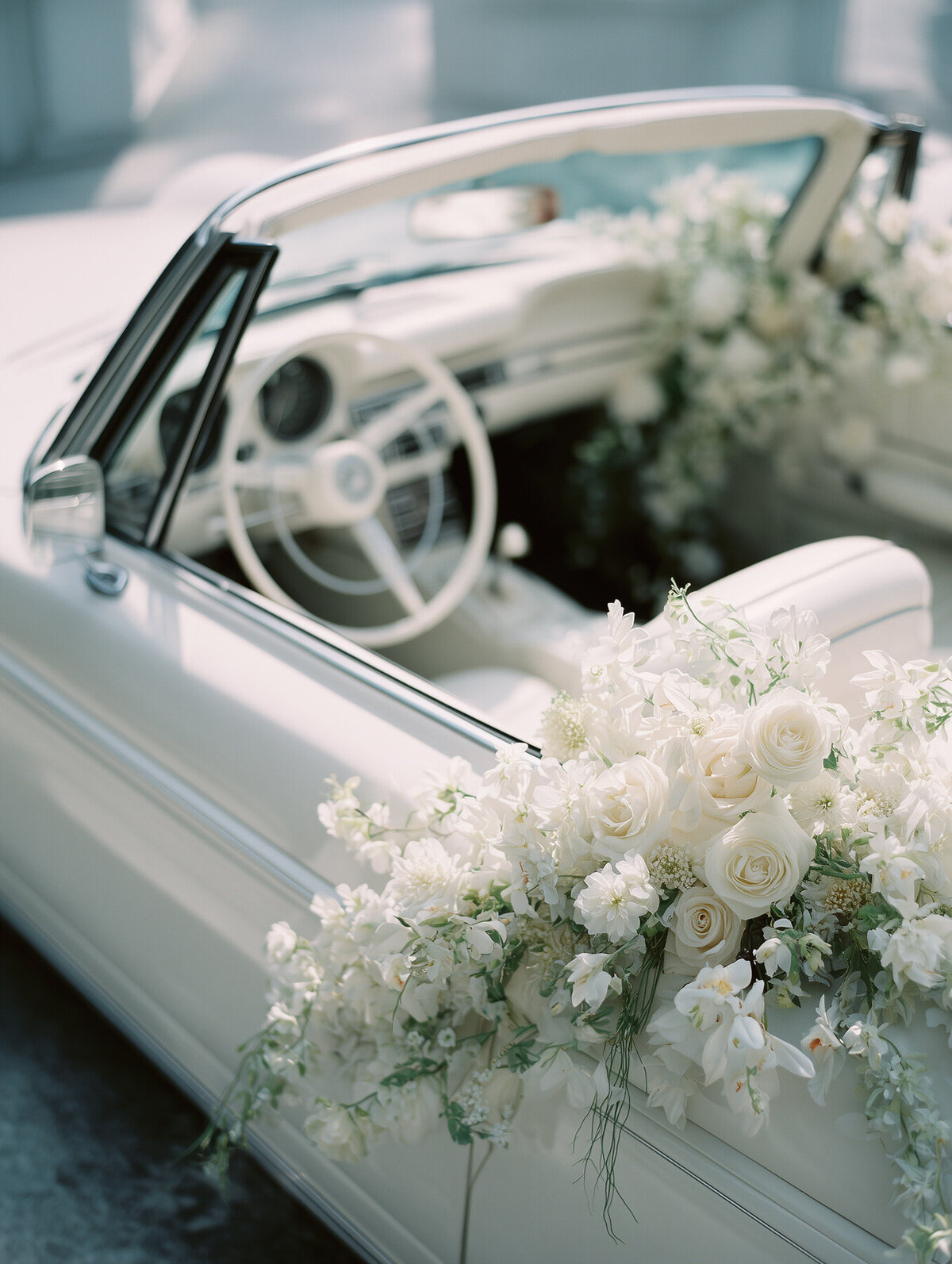 Wedding Bliss Stock-34