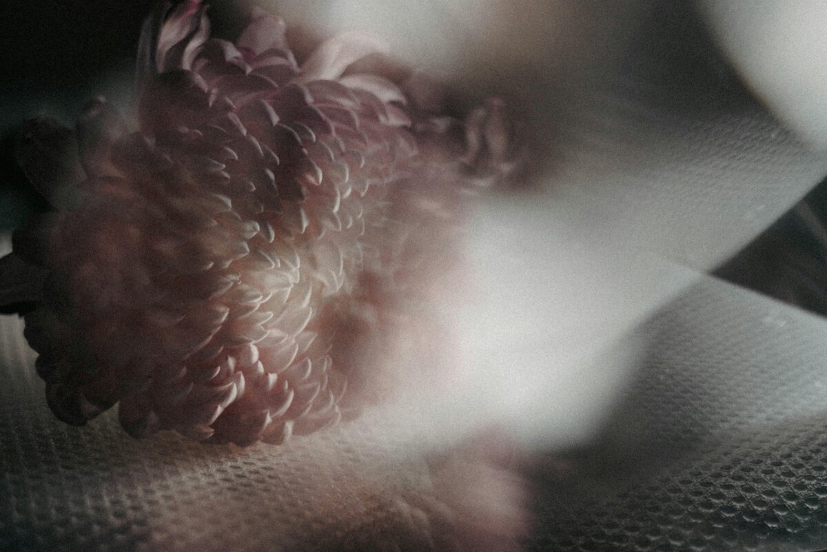 pexels-84330351-14438883