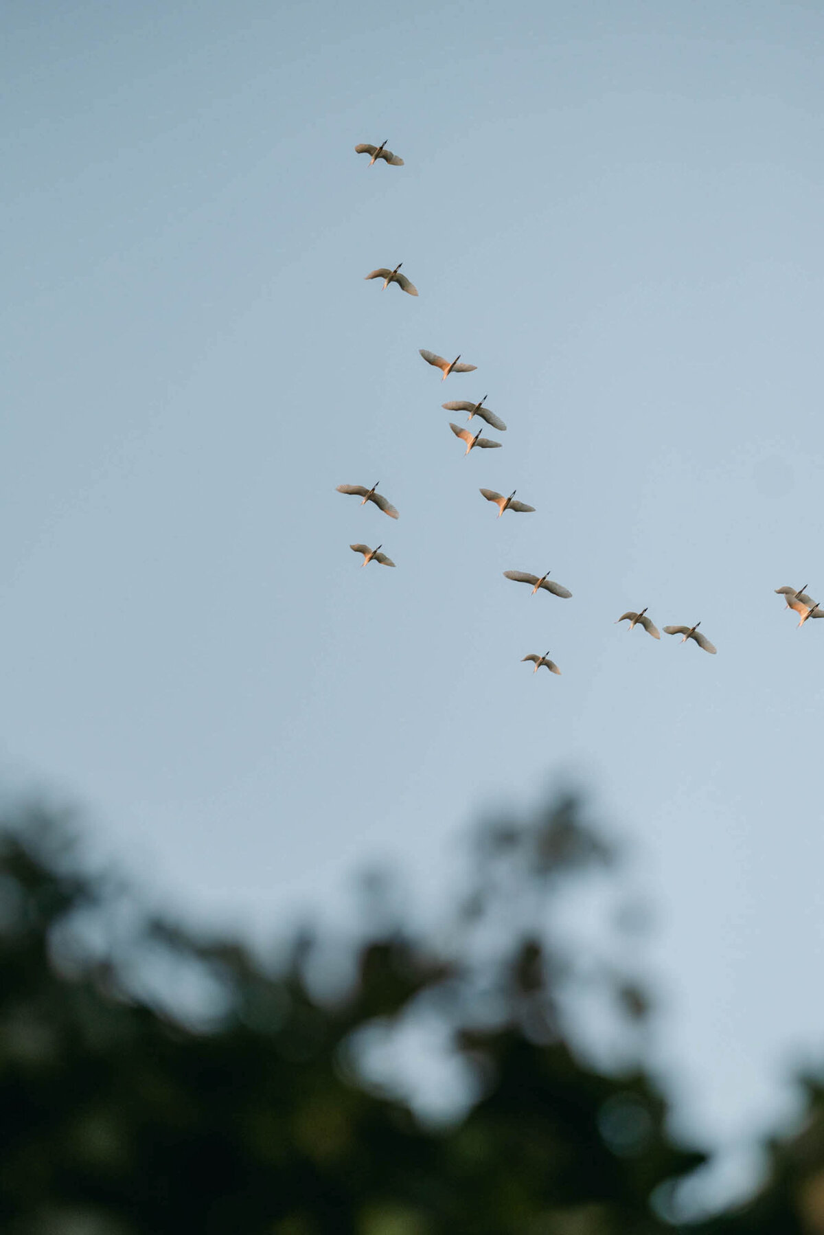 515-Banyan-Tree-Mayakoba-Mexico-Natasha-Tyler-Salter-Wedding-48