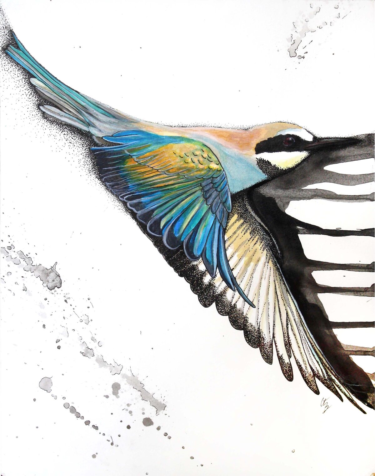 CCC_Murmure_Meropidae