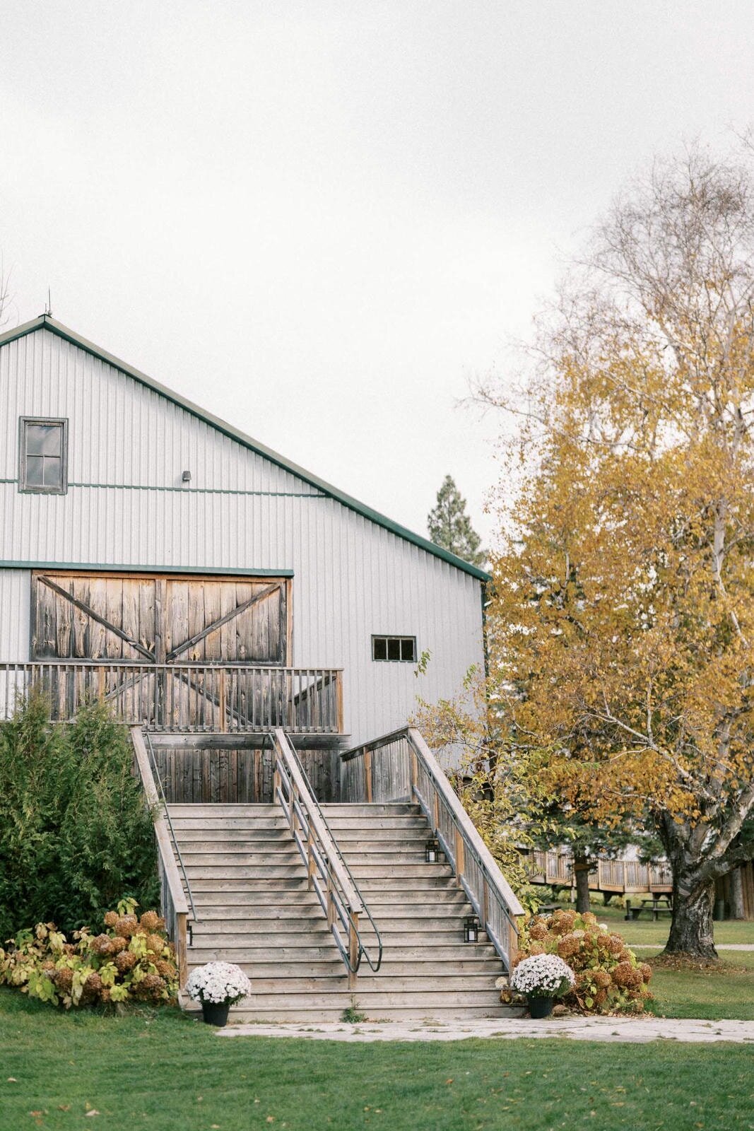 W11-Wedding-Photos-Caledon-Valley-Estate-Eleanor-and-Michael-2024-11-02-2500px-1025